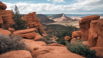 hartman rock garden