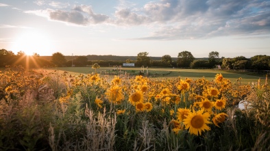 kettering field